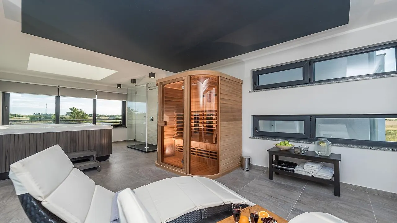 Villa Ana,Luxury Wellness Villa With Heated Pool And Jacuzzi Privlaka  0*, Privlaka (Zadar)